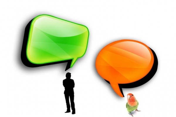 Apresentação de Slides Vencedores Apresentação de Slides Vencedores